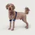 Balto Attelle du coude chien et chat