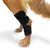 Back on Track attelles thermiques pour patte arrière Thermo Tarse Back on Track attelles thermiques pour patte arrière Thermo Tarse