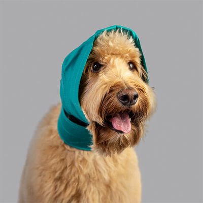 KVP protection des oreilles pour chien et chat Snood