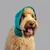 KVP protection des oreilles pour chien et chat Snood KVP protection des oreilles pour chien et chat Snood