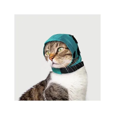 KVP protection des oreilles pour chien et chat Snood KVP protection des oreilles pour chien et chat Snood