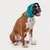 KVP protection des oreilles pour chien et chat Snood KVP protection des oreilles pour chien et chat Snood