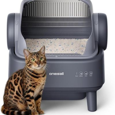 oneisall Litiere Chat Autonettoyante