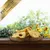 Lyra Pet® pommes Lyra Pet® pommes