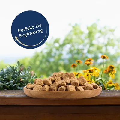 Lyra Pet® Cubes d'artémias lyophilisés Lyra Pet® Cubes d'artémias lyophilisés