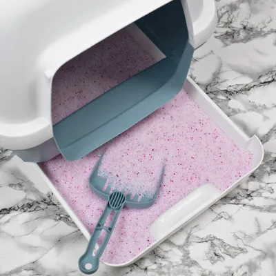 Lyra Pet® Lyra Power® Silica Silicate Litière agglomérante pour chats