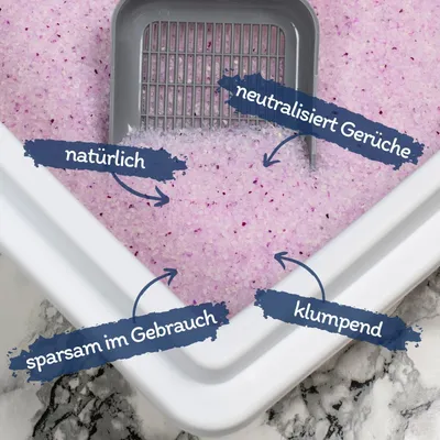 Lyra Pet® Lyra Power® Silica Silikat klumpend Katzenstreu