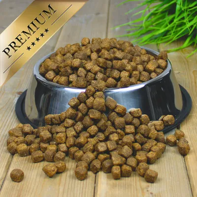 Lecker.Pet® Paula's Adult Sensitive canard & pomme de terre Lecker.Pet® Paula's Adult Sensitive canard & pomme de terre