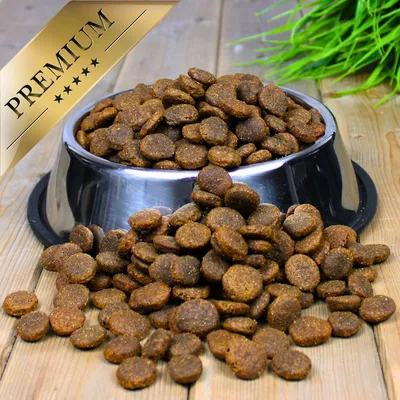 Lecker.Pet® Gino's Adult Maxi avec poulet Nourriture sèche pour chien Lecker.Pet® Gino's Adult Maxi avec poulet Nourriture sèche pour chien