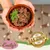 Lecker.Pet® Balu’s, Emily's, Leo's & Mia's 100 % poisson & viande Lecker.Pet® Balu’s, Emily's, Leo's & Mia's 100 % poisson & viande