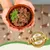 Lecker.Pet® Emily's 100 % muscle de bœuf Nourriture humide pour chats Lecker.Pet® Emily's 100 % muscle de bœuf Nourriture humide pour chats
