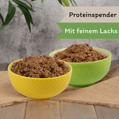 Lecker.Pet® Mia's Feine Paté riche en saumon nourriture humide pour chats