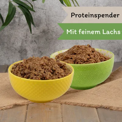 Lecker.Pet® Mia's Feine Paté Riche en saumon Nourriture humide pour chats Lecker.Pet® Mia's Feine Paté Riche en saumon Nourriture humide pour chats