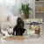 Lyra Pet® Dés de poitrine de poulet lyophilisés