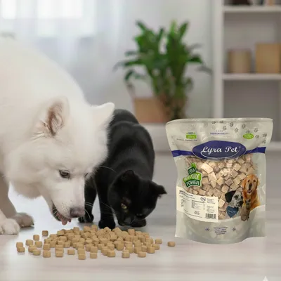 Lyra Pet® Dés de poitrine de poulet lyophilisés