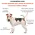 Treatsy Complément – Mobilité Articulations pour chiens de 1 à 25kg Treatsy Complément – Mobilité Articulations pour chiens de 1 à 25kg