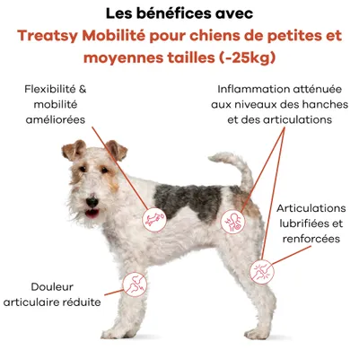 Treatsy Complément – Mobilité Articulations pour chiens de 1 à 25kg Treatsy Complément – Mobilité Articulations pour chiens de 1 à 25kg