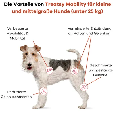 Treatsy Complément – Mobilité Articulations pour chiens de 1 à 25kg Treatsy Complément – Mobilité Articulations pour chiens de 1 à 25kg