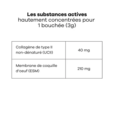 Treatsy Complément – Mobilité Articulations pour Grands chiens (+25kg) Treatsy Complément – Mobilité Articulations pour Grands chiens (+25kg)