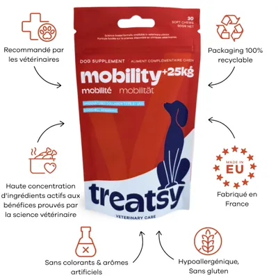 Treatsy Complément – Mobilité Articulations pour Grands chiens (+25kg) Treatsy Complément – Mobilité Articulations pour Grands chiens (+25kg)
