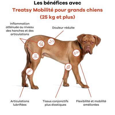 Treatsy Complément – Mobilité Articulations pour Grands chiens (+25kg)