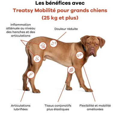 Treatsy Complément – Mobilité Articulations pour Grands chiens (+25kg) Treatsy Complément – Mobilité Articulations pour Grands chiens (+25kg)