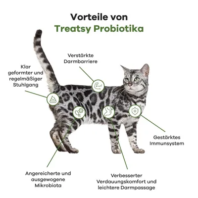 Treatsy Complément Alimentaire - Probiotiques pour chat