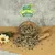 Lyra Pet® graines de tournesol Mix Lyra Pet® graines de tournesol Mix