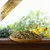 Lyra Pet® Graines de tournesol Mix Lyra Pet® Graines de tournesol Mix