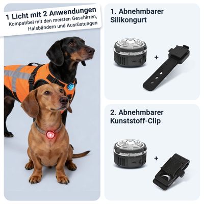 PAJ GPS Hunde-Sicherheitslicht PAJ Light Mini