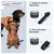 PAJ GPS Lampe de Sécurité pour Chien PAJ Light Mini PAJ GPS Lampe de Sécurité pour Chien PAJ Light Mini