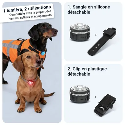 PAJ GPS Lampe de Sécurité pour Chien PAJ Light Mini PAJ GPS Lampe de Sécurité pour Chien PAJ Light Mini