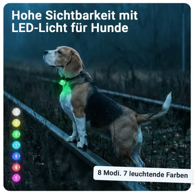 PAJ GPS Hunde-Sicherheitslicht PAJ Light Mini