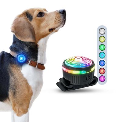 PAJ GPS Lampe de Sécurité pour Chien PAJ Light Mini