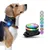 PAJ GPS Lampe de Sécurité pour Chien PAJ Light Mini PAJ GPS Lampe de Sécurité pour Chien PAJ Light Mini