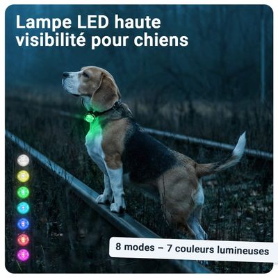 PAJ GPS Lampe de Sécurité pour Chien PAJ Light Mini