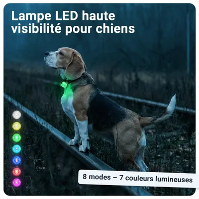 PAJ GPS Lampe de Sécurité pour Chien PAJ Light Mini PAJ GPS Lampe de Sécurité pour Chien PAJ Light Mini