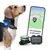 PAJ GPS Traceur PET Finder 4G Mini pour Chiens PAJ GPS Traceur PET Finder 4G Mini pour Chiens