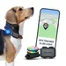 PAJ GPS Traceur PET Finder 4G Mini pour Chiens