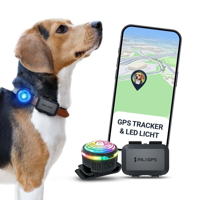 PAJ GPS Traceur PET Finder 4G Mini pour Chiens