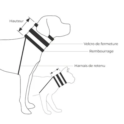 KVP Collier collerette chien et chat BITENOT KVP Collier collerette chien et chat BITENOT