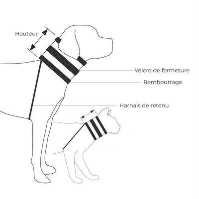 KVP Collier collerette chien et chat BITENOT