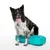 FitPaws Coussin d'équilibre K9FITbone pour chien, agility ou rééducation