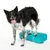 FitPaws Coussin d'équilibre K9FITbone pour chien, agility ou rééducation