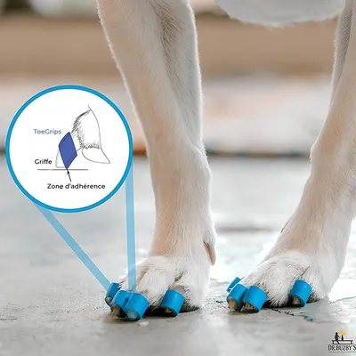 ToeGrips aide antidérapante pour chien ToeGrips aide antidérapante pour chien