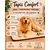 Coussin rectangle pour chien Naya Coussin rectangle pour chien Naya