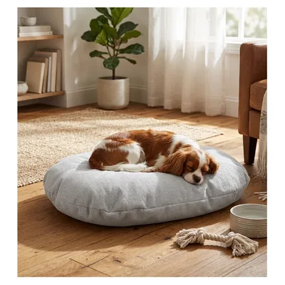 Coussin ovale déhoussable pour chien Coussin ovale déhoussable pour chien