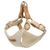 Harnais pour chien Lara Beige XS 28-30cm 30-32cm