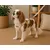 Harnais pour chien Lara Beige