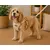 Harnais pour chien Lara Beige Harnais pour chien Lara Beige